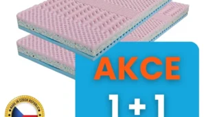 Dominika v akci 1+1