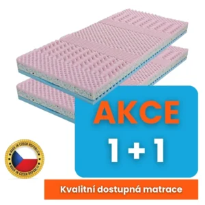 Dominika v akci 1+1
